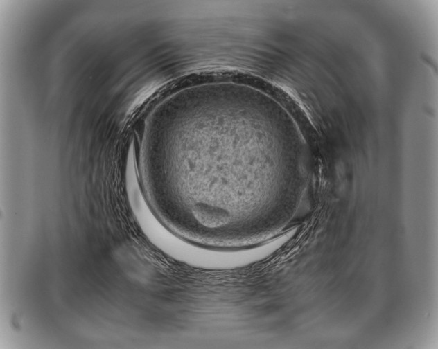 X0000096940871200802151212
