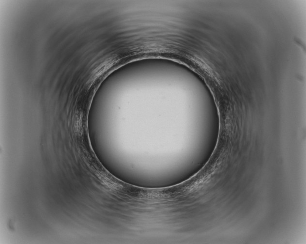 X0000096940873200802151212