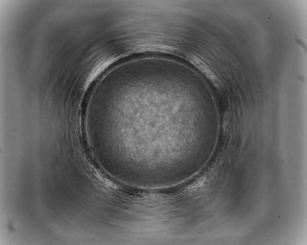 X0000096940877200802151212
