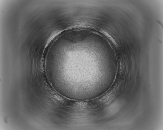 X0000096940878200802151212