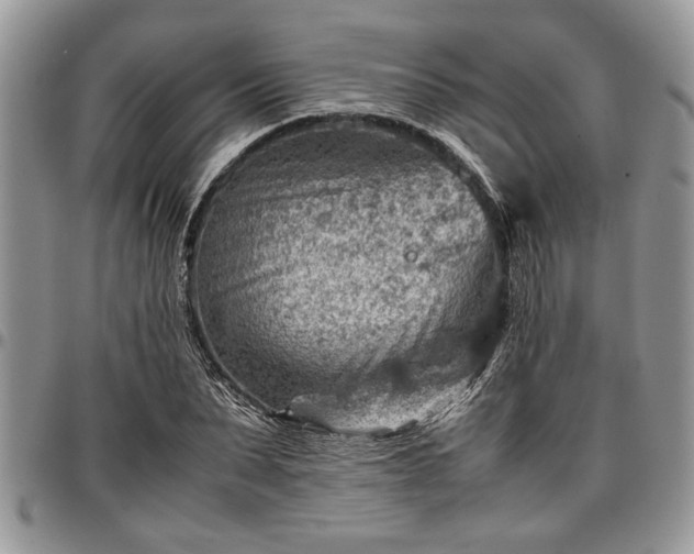X0000096940879200802151212