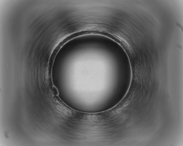 X0000096940880200802151212