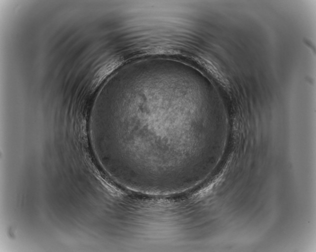 X0000096940881200802151212