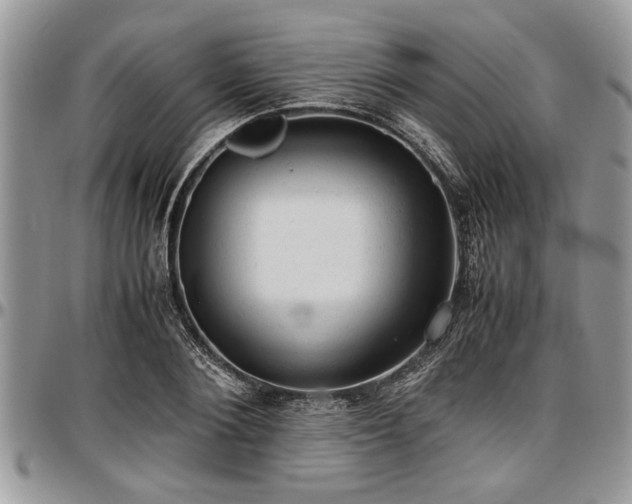 X0000096940884200802151212