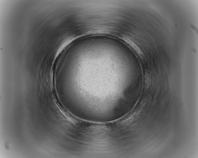 X0000096940886200802151212