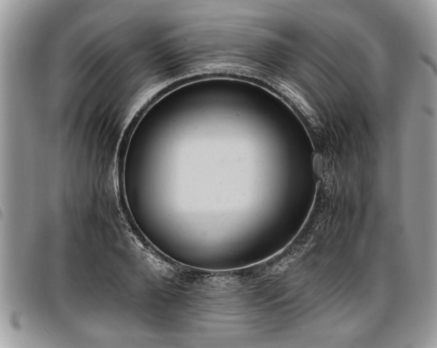 X0000096940888200802151212
