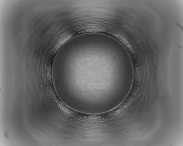 X0000096940889200802151212