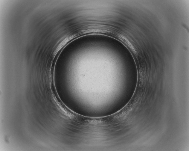 X0000096940890200802151212