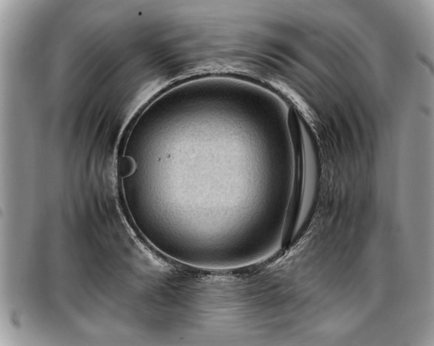 X0000096940894200802151212