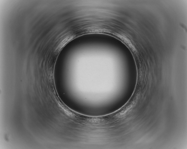 X0000096940897200802151212