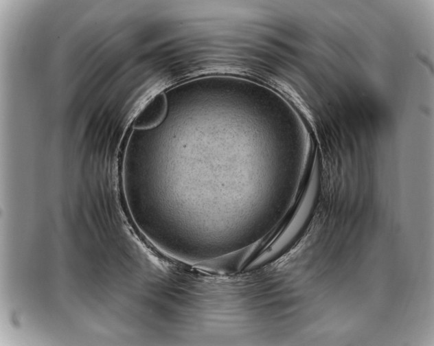 X0000096940898200802151212