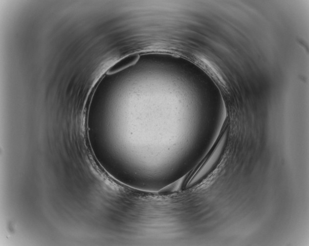 X0000096940900200802151212