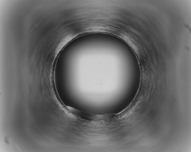 X0000096940901200802151212