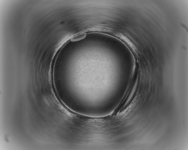 X0000096940902200802151212