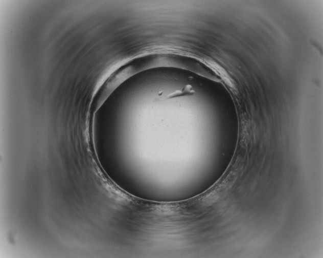 X0000096940904200802151212