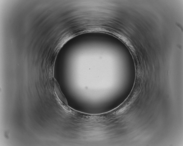 X0000096940905200802151212