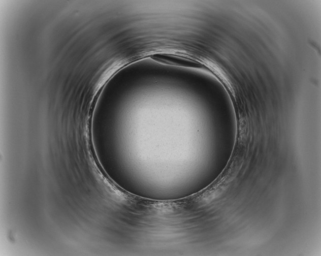 X0000096940906200802151212