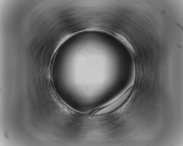 X0000096940908200802151212