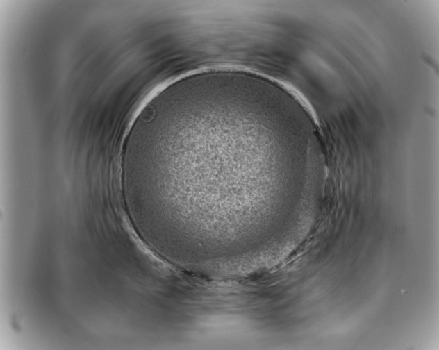 X0000096940911200802151212