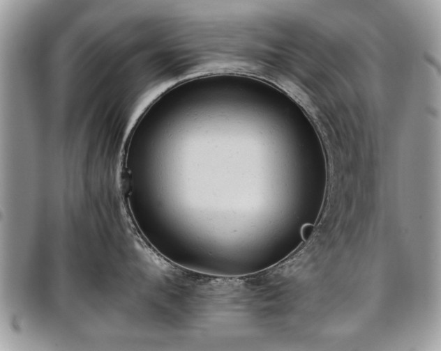 X0000096940912200802151212