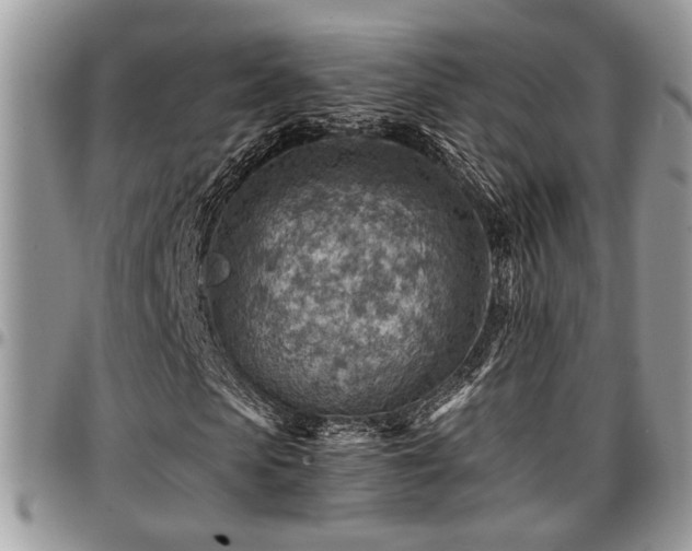 X0000096940913200802151211
