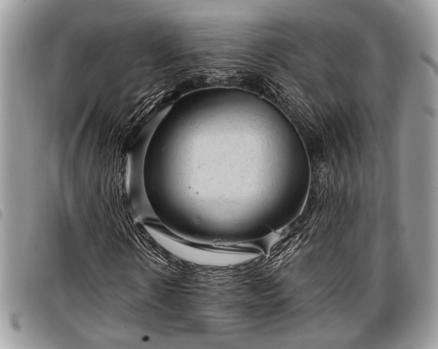 X0000096940914200802151211