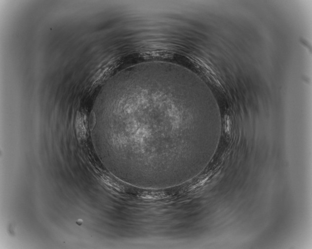 X0000096940915200802151211
