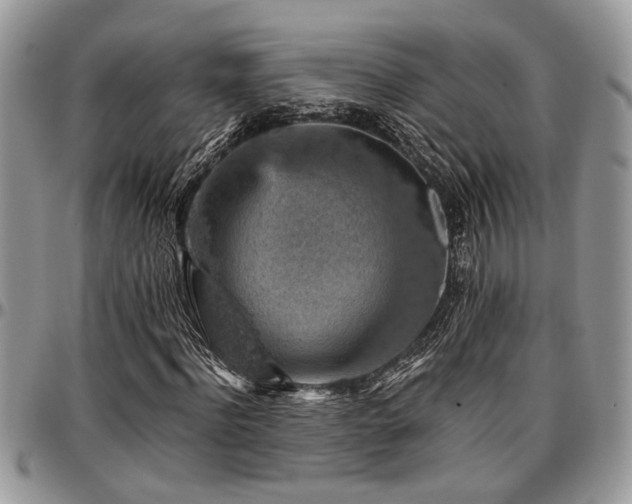 X0000096940916200802151211