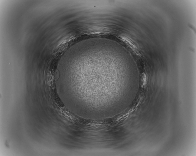 X0000096940917200802151211