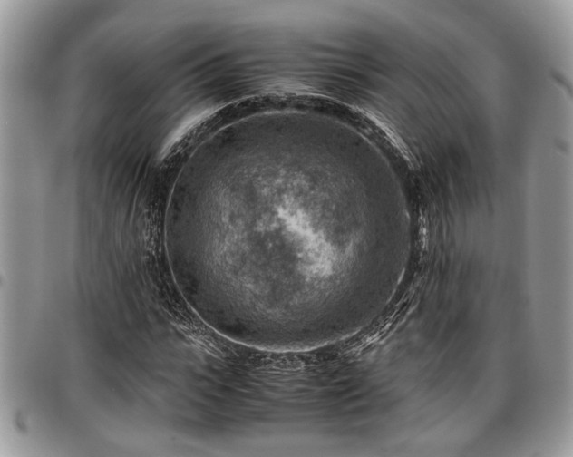 X0000096940919200802151211