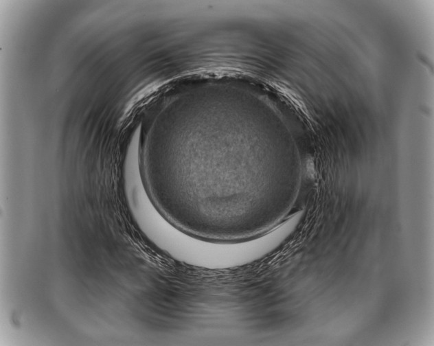 X0000096940920200802151211