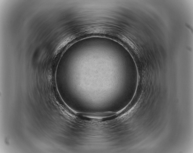 X0000096940922200802151211