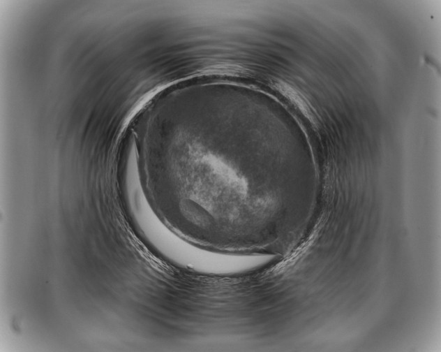 X0000096940923200802151211