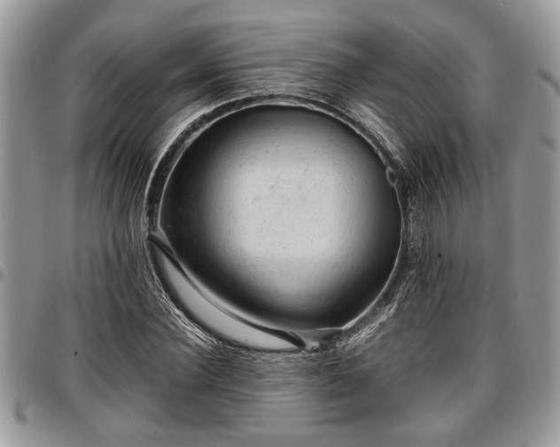 X0000096940924200802151211