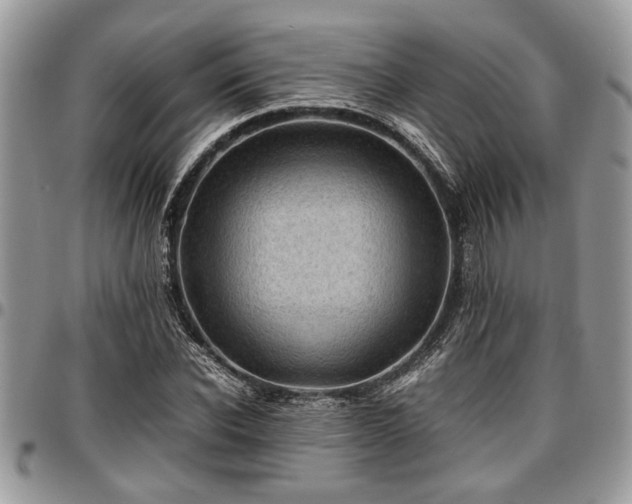 X0000096940926200802151211