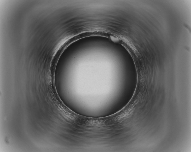 X0000096940927200802151211