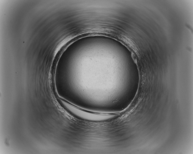 X0000096940928200802151211