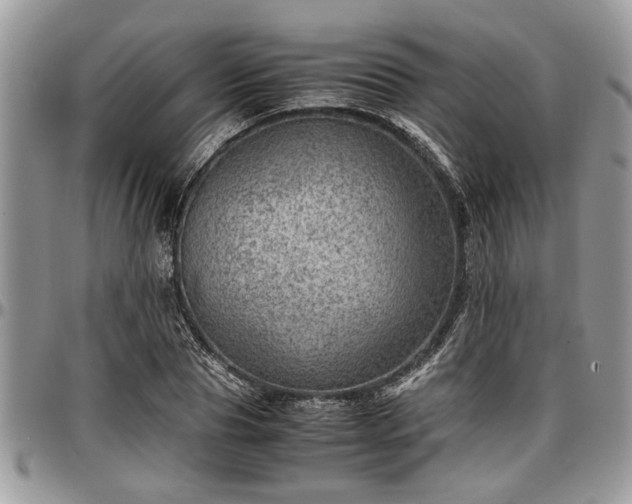 X0000096940929200802151211