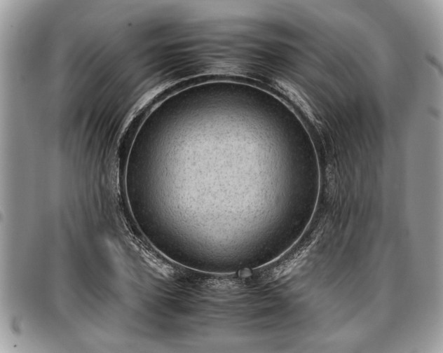 X0000096940931200802151211