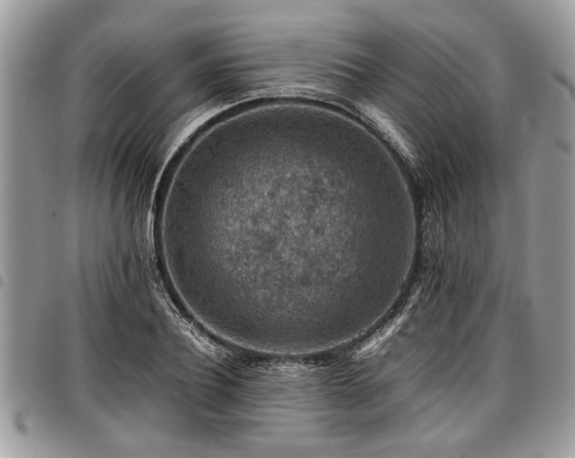 X0000096940932200802151211