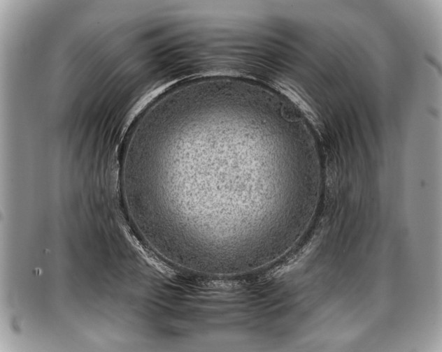 X0000096940933200802151211