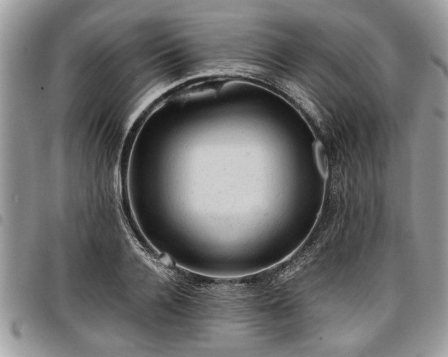 X0000096940936200802151211