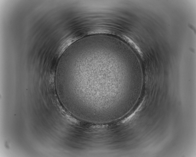 X0000096940937200802151211