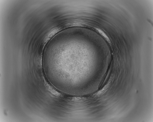 X0000096940938200802151211