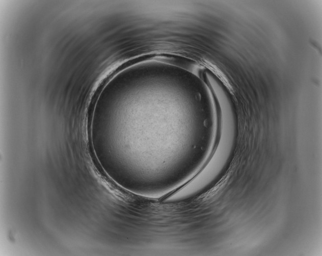 X0000096940939200802151211