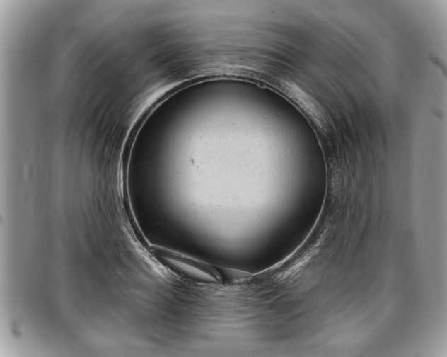 X0000096940940200802151211