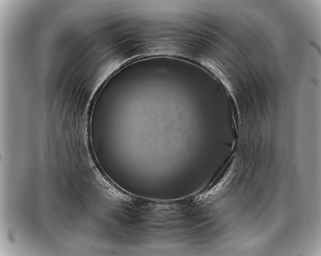 X0000096940941200802151212