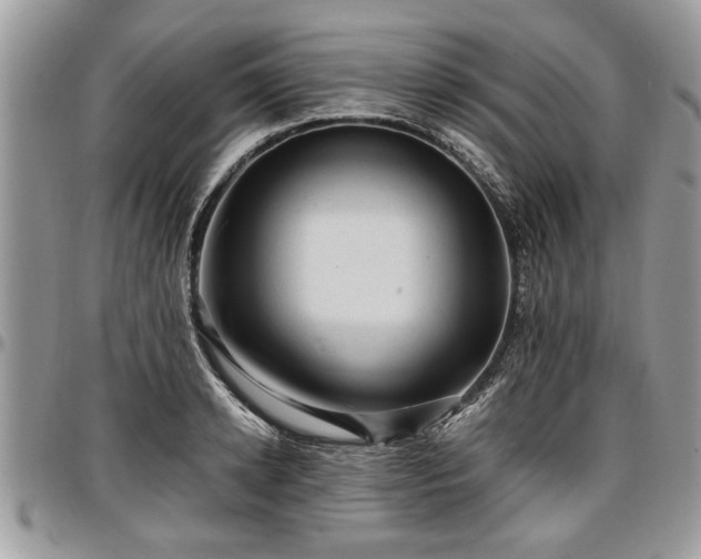 X0000096940942200802151212