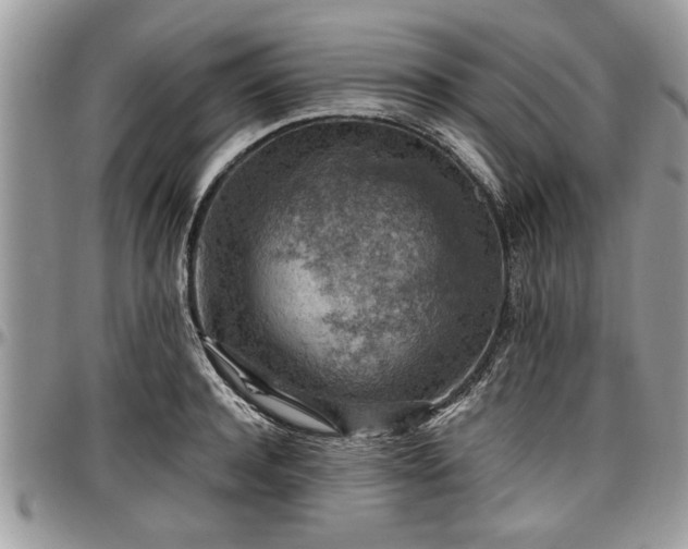 X0000096940944200802151212