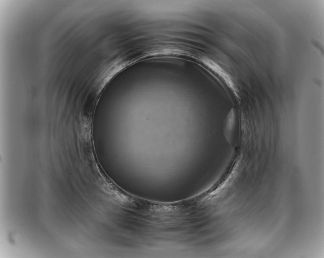X0000096940945200802151212